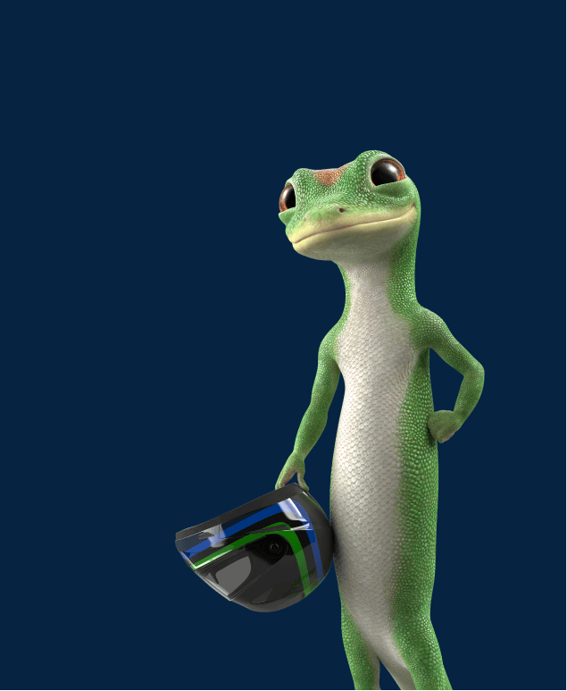 carousel-motorcycle-gecko