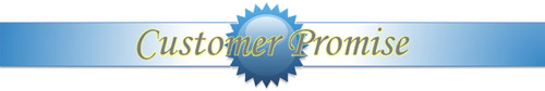 customer promise
