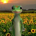 How you can conserve energy and protect the environment
