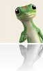 GEICO App for Windows 8