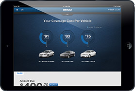 Coverage Cost Per Vehicle