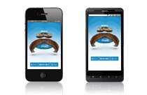 Brostache