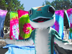 Gecko at Camp John Marc