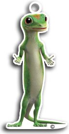 GEICO sweepstakes to win one of 20 Magellan eXplorist GC GPS units