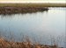 Flood Insurance