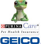 Pet Insurance