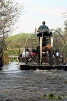 everglades