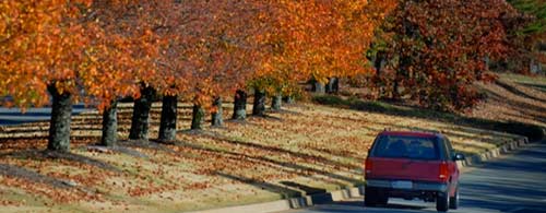 fall foliage trips