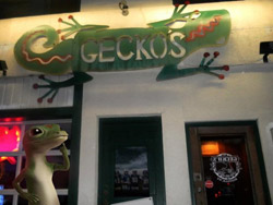Gecko Journey