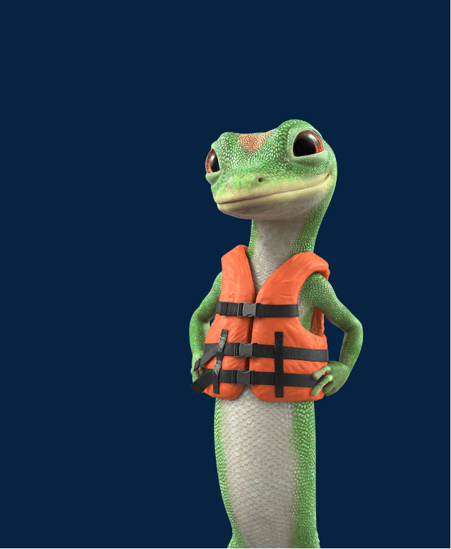 carousel-gecko-boat