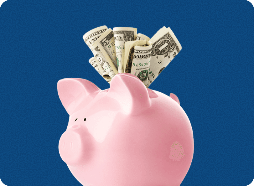 Piggy Bank with Money