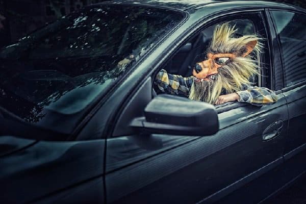 A werewolf driving a car.