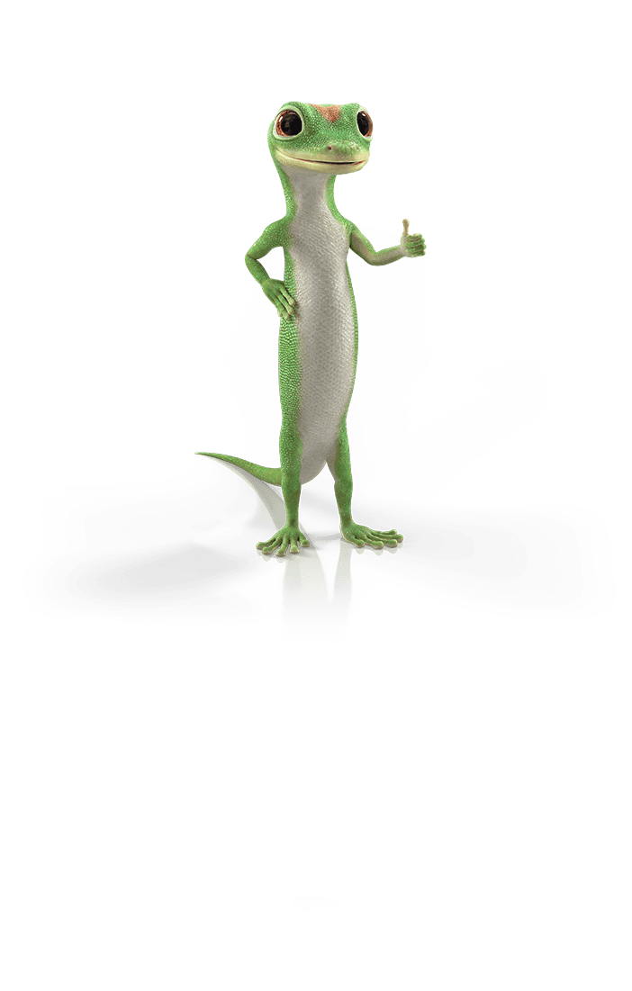 GEICO Gecko giving a thumbs up