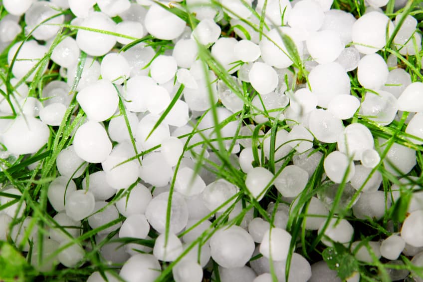 An image of hail on the ground