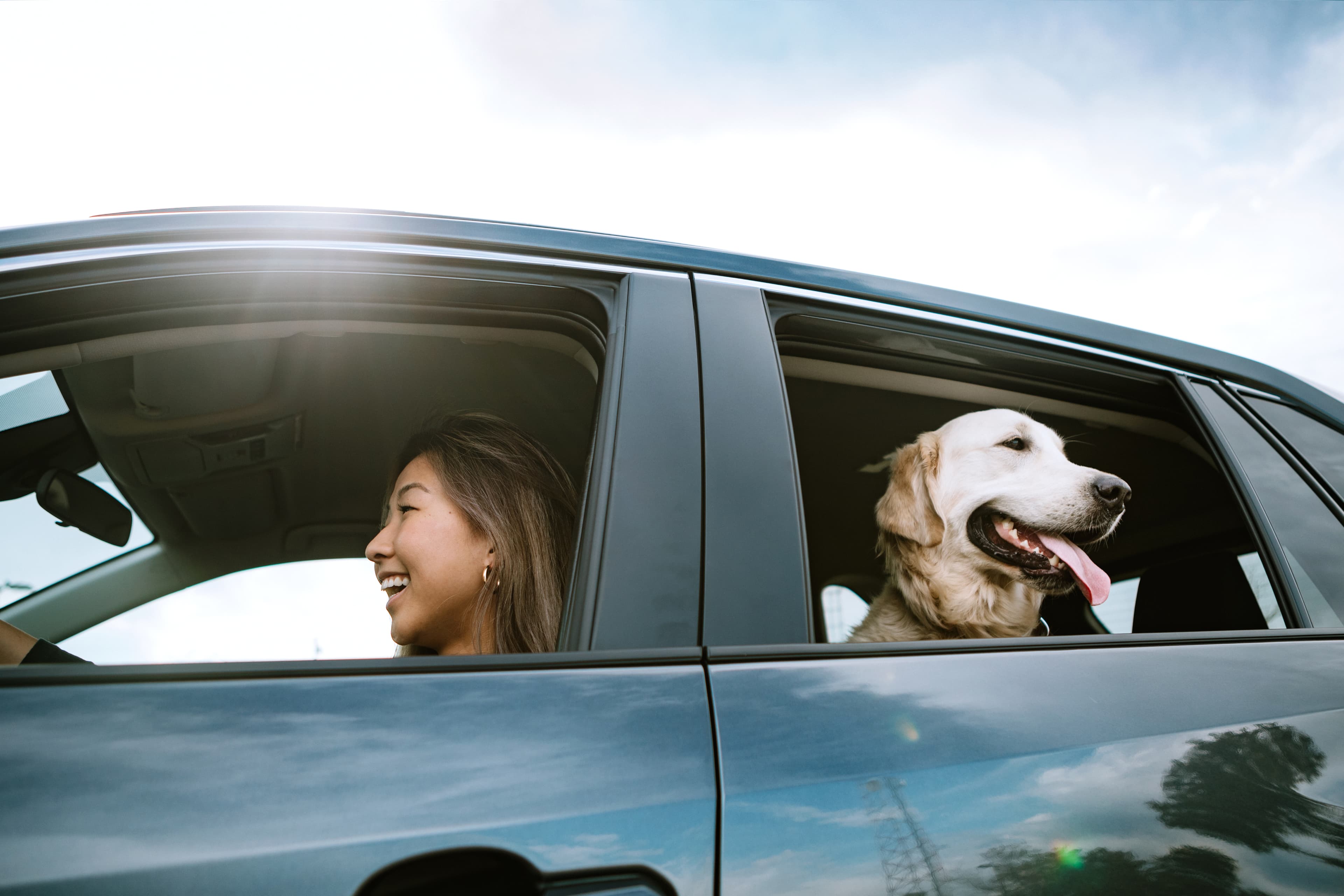 Woman driving with her dog in the backseat.