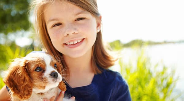 pet-cost-yearly