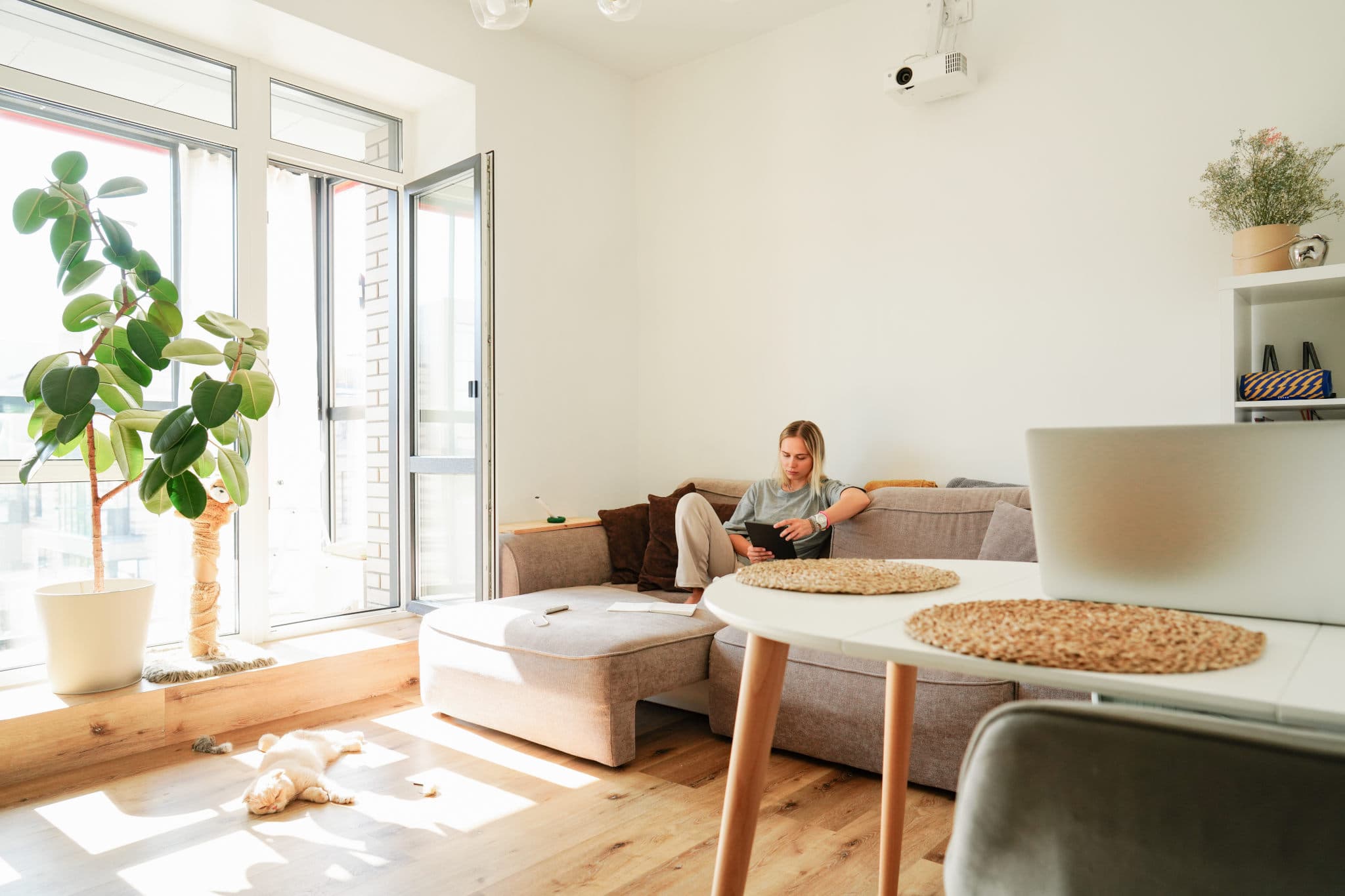 Renter using a laptop to compare the best renters insurance companies