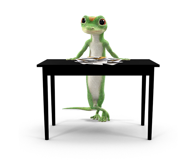 Gecko at a desk