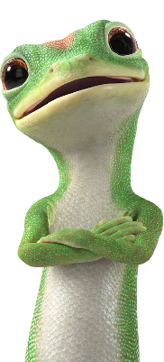gecko smiling
