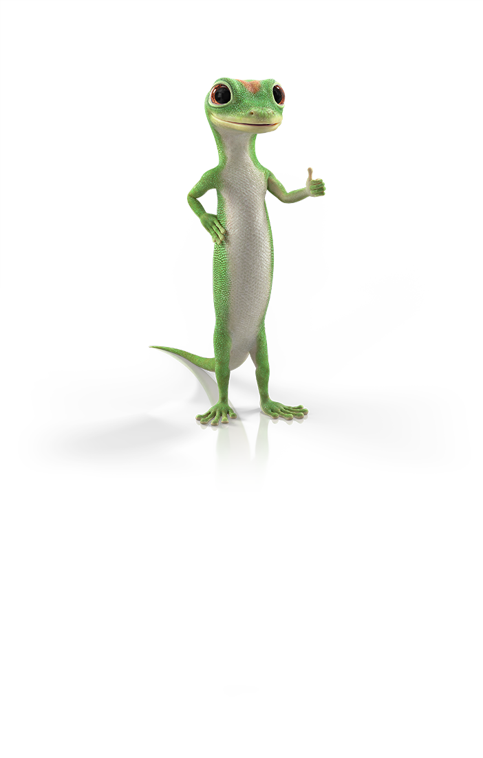 gecko