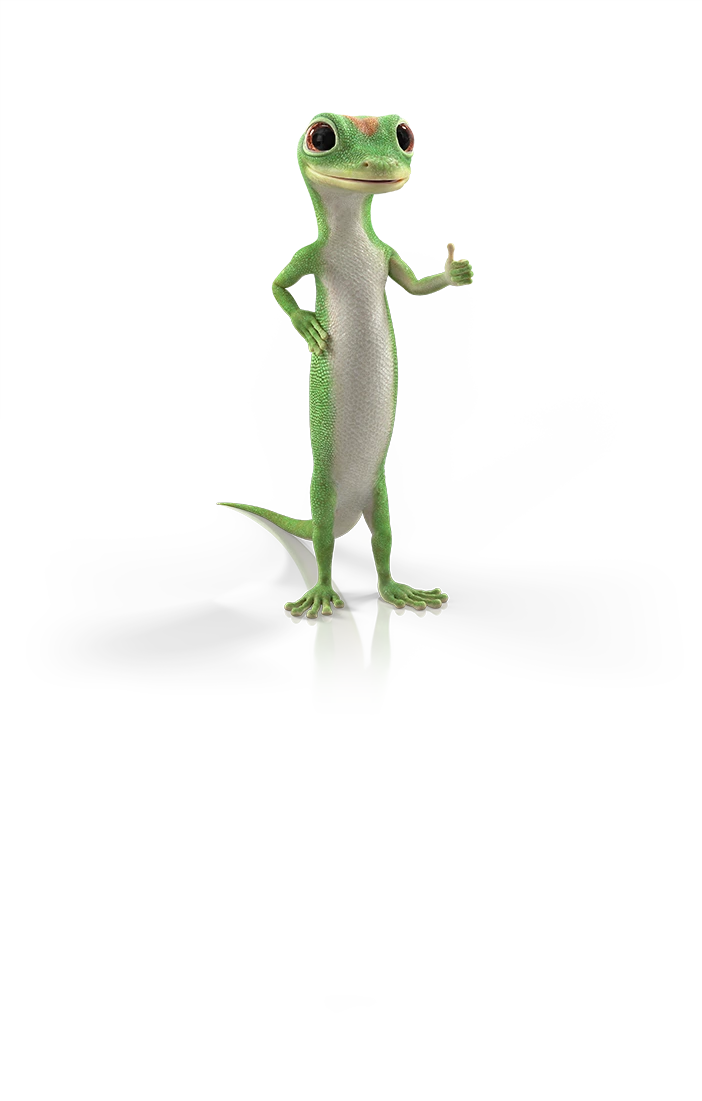 GEICO Gecko giving a thumbs up