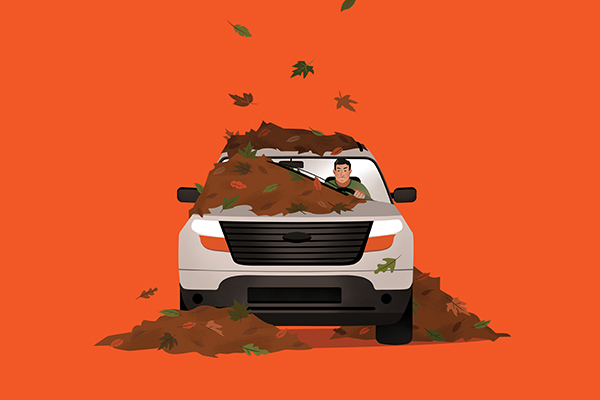 fall leaves piled up on car