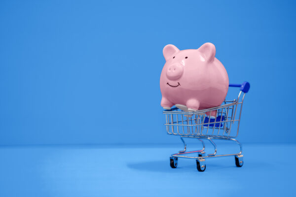 Piggy Bank Inside Shopping Cart