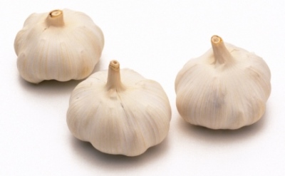 Garlic bulb, high angle view