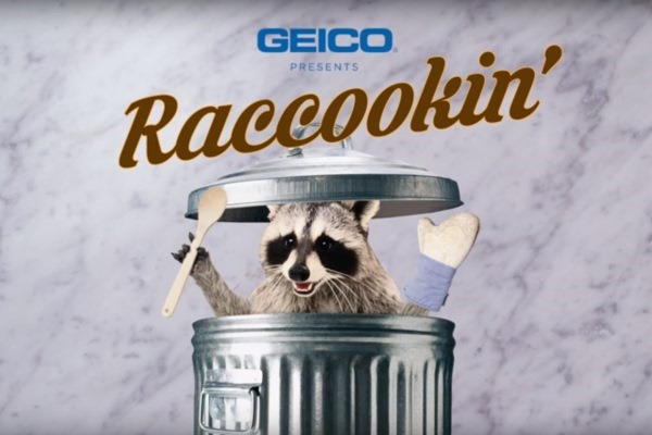 Raccoon in garbage can