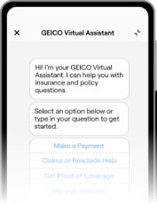Image of Virtual Assistant view in Mobile app