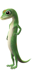 Mississippi Insurance Agent | GEICO