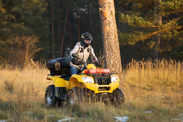 ATV rider in forest