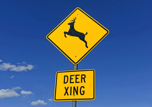 Deer crossing sign.