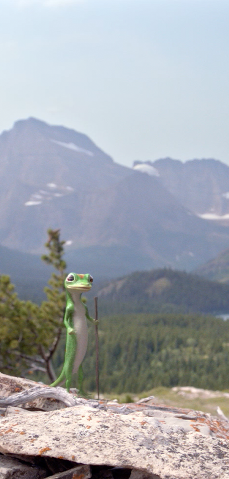 Gecko hiking wallpaper.