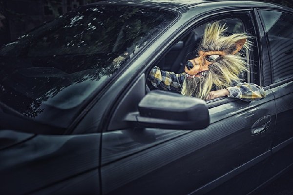 A werewolf driving a car.