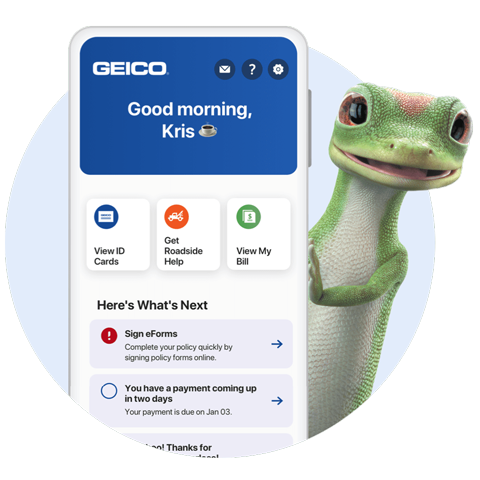 Geico Renters Insurance New York