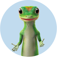 gecko