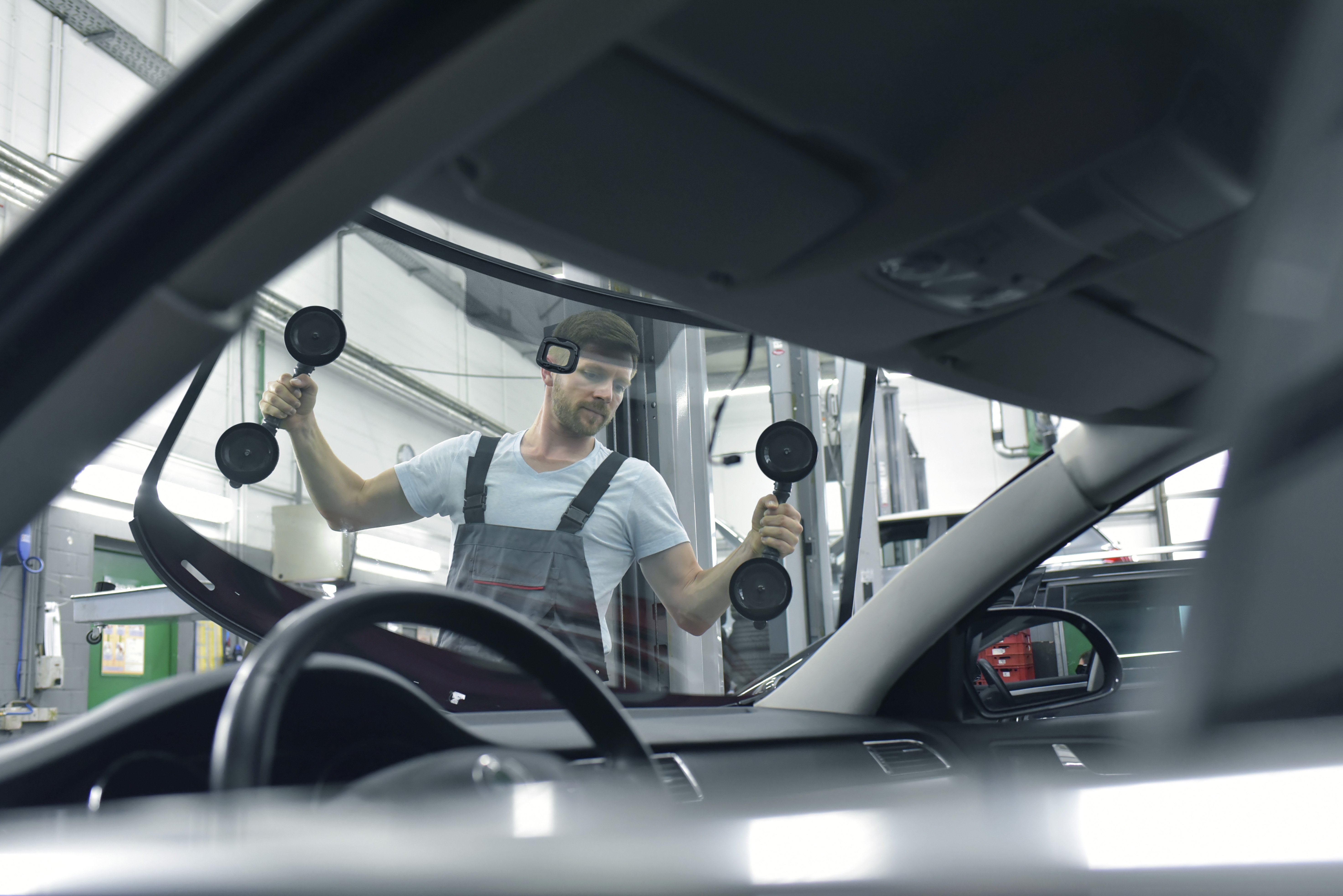 Windshield and Glass