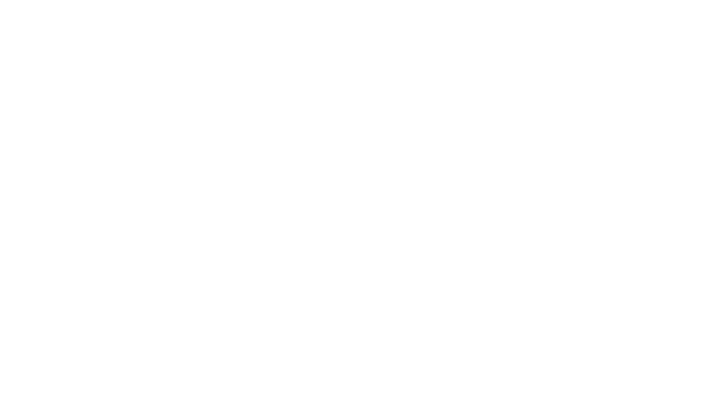 25 years of GEICO.com