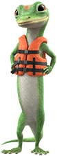 GEICO Gecko Wearing Life Vest