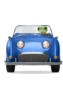 Gecko driving