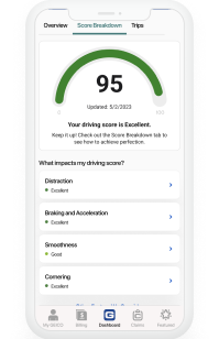 Driving score factors