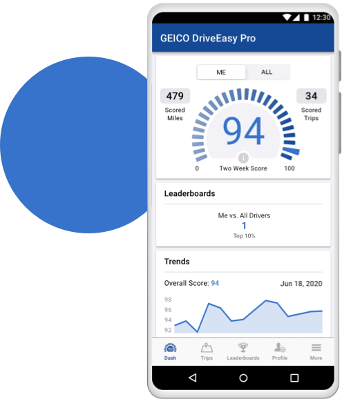 GEICO Drive Easy Pro geico-drive-easy-pro