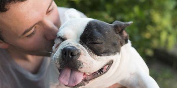 dog with eyes closed hugged by owner