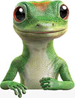 An Insurance Company For Your Car And More | GEICO An Insurance Company For Your Car And More | GEICO