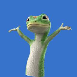 gecko with hands up