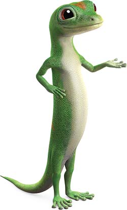 GEICO: An Insurance Company For Your Car And More